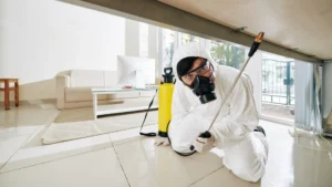 Service extermination nuisibles Vanves