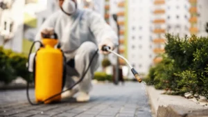 Extermination nuisibles Sèvres professionnels