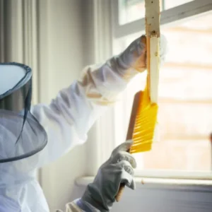 Extermination de nuisibles à Saint-Cloud