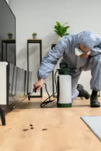 extermination de nuisibles