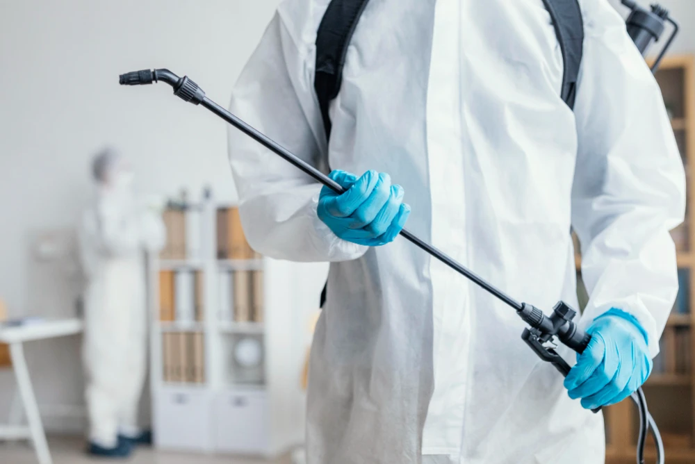 Traitement des infestations de nuisibles : méthodes efficaces et solutions professionnelles